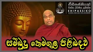 අසිරිමත් සම්බුදු තෙමගුල | අතිපූජ්‍ය ගලිගමුවේ ඥානදීප හිමි | Ven Galigamuwe Gnanadeepa Thero