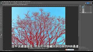 【photoshop小技巧】 Ps快速抠图，素材很细很多怎么抠呢。来试试通道抠图法吧！#初学ps #ps基础 #ps教程 #ps小技巧 #学好ps #ps修图 #ps教学 #ps技能 #ps初学者教程