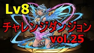 [vol 25]『チャレンジダンジョンLv８【回復神強化】』LFアンドロメダ