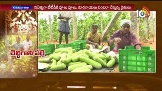 ఆ పల్లెలో పూచే ప్రతి పువ్వు, కాయ శ్రీవారికే..| Specialization Of Chittoor Cheldigani Village | 10TV