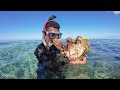 Diving For Giant Clams🤿🇫🇯