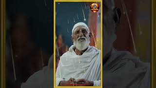 சர்ப்ப சித்தர்✨...