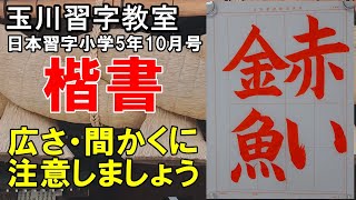 玉川習字教室　日本習字小学5年10月号赤手本課題【赤い金魚】