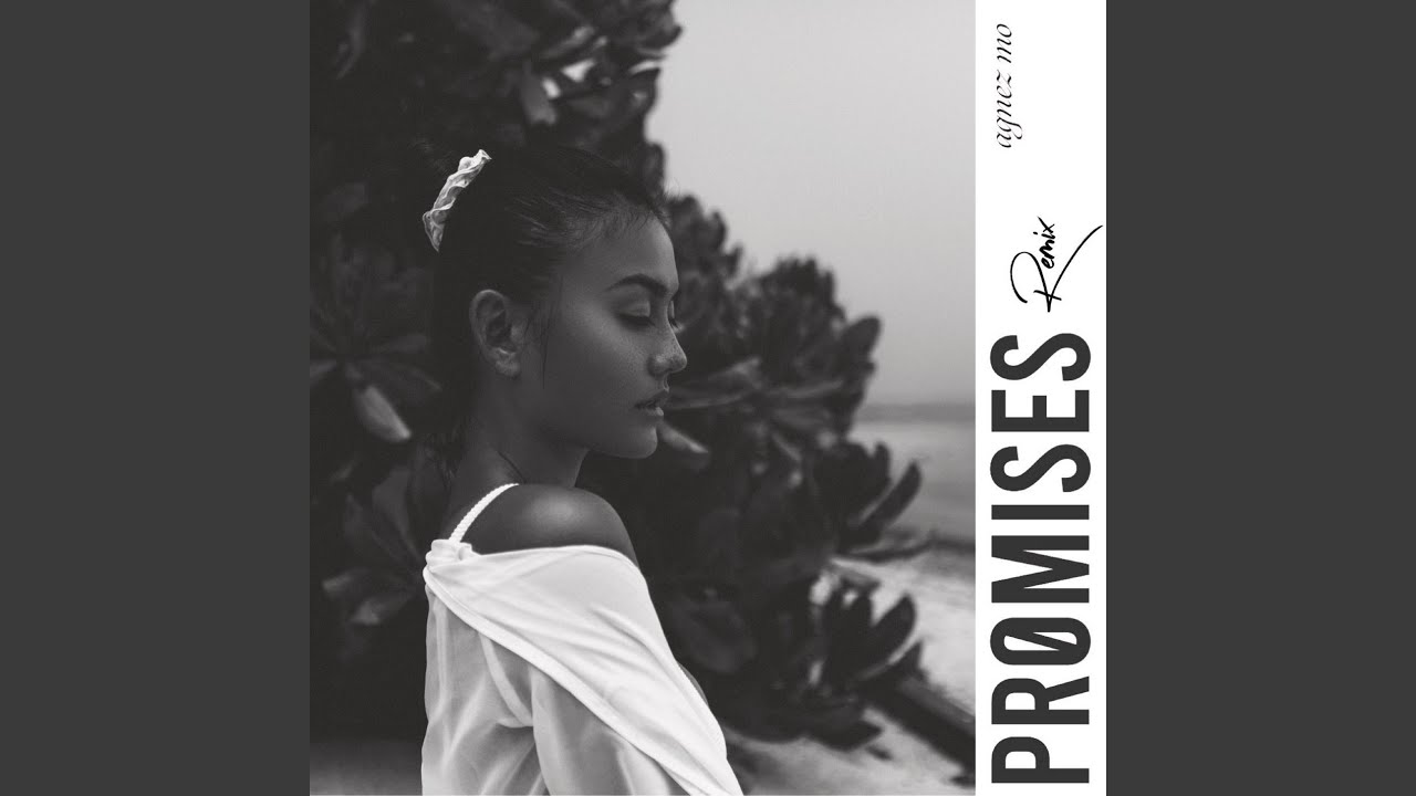 AGNEZ MO - Promises (Remix) AGNEZ MO - Promises (Remix)