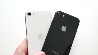 iPhone SE (2022) Vs iPhone 8 Quick Camera Comparison!
