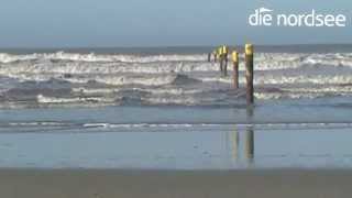 Frühling an der Nordsee: Sonne, Strand, Meer \u0026 Erholung