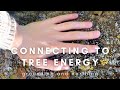 CONNECTING TO TREE ENERGY & MAGICK #SHORTS | GROUNDING TECHNIQUES | GREEN WITCHCRAFT | FOLK WITCH