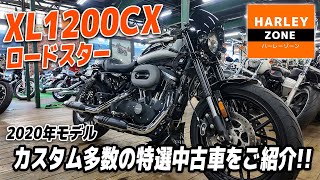 「2020年 XL1200CX ロードスター」ビキニカウル・ハンドル・ETC特等カスタム多数！特選中古車をご紹介！ポジション\u0026サウンドチェックも！HARLEY-ZONE/ハーレーゾーン