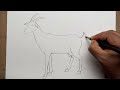 how to draw a goat step by step