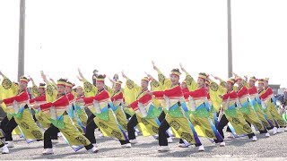 遠州鳴子浪漫 @ よさこい東海道 沼津祭り (第二市場会場) 2019-11-09T14:24