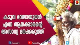 കടുവ എന്ന കടുവവേലായുധനെ ആനകൾ ഭയക്കാൻ കാരണം | Kaduva Velayudhan | Kerala Elephant