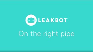 LeakBot Fit on the right pipe