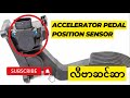 Accelerator Pedal Position Sensor (လီဗာဆင်ဆာ)