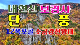 내연산 단풍과 보경사 12폭포, 소금강전망대 단풍 조망