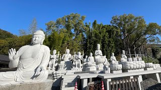 【愛媛県】四国八十八ヶ所霊場５１番札所　『石手寺』の「みんないっしょ覚るまつり」に行ってみたが！　松山市　道後温泉