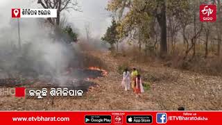 MAYURBHANJ QUEEN AND PRINCESS EXTINGUISHED THE BURNING SIMILIPAL