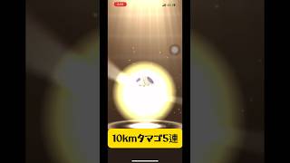 【ポケモンGO】10kmタマゴ5連🥚#ポケモンgo #shorts #四角革命