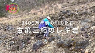 あかいわジオの魅力発見!!2021　Part5：3400万年前の川の化石（古第三紀のレキ岩）