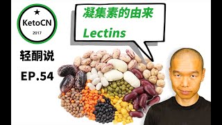 EP.54 凝集素的由来Lectins | KetoCN