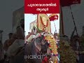 പൂരാവേശത്തിൽ തൃശൂർ