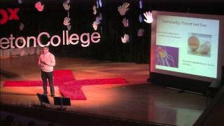 Project Stealth: Daniel Saltzman at TEDxCarletonCollege
