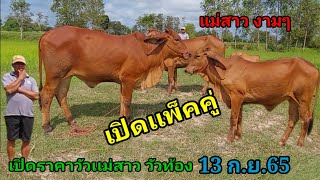 เปิดราคาวัวเเม่สาว วัวท้องวันนี้ (13ก.ย.65)พ่อจ่อย บ.สหกรณ์นิคม ต.นาหว้า จ.อำนาจเจริญ