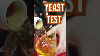 Bread Yeast versus Wine Yeast