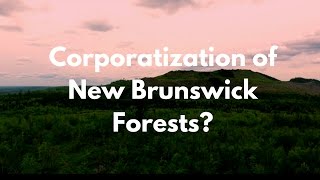 Are Woodlot Owners the Last Frontier Against the Corporatization of NB Forests? 1/2