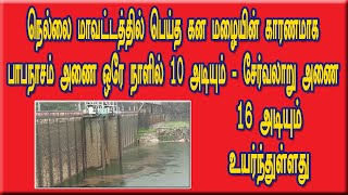 நெல்லையில் பெய்த கன மழை: பாபநாசம் அணை ஒரே நாளில் 10 அடியும், சேர்வலாறு அணை 16 அடியும் உயர்வு