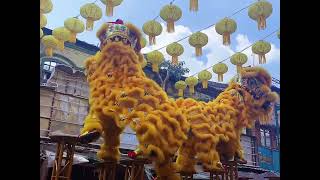 Xuan Long Liondance at Oloiya Petaling Street KL 💛