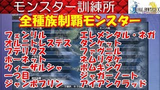 FF10攻略#66『訓練所：全種族制覇モンスター／ジャンボプリン アイアンクラッド』ファイナルファンタジー10｜FINAL FANTASY X｜MIZUKENミズケン