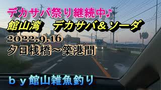 館山湾デカサバ祭り継続中♪　デカサバ＆ソーダ　2022.9.16　夕日桟橋～築港間カヤック釣り