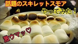 【韓国】スキレットスモアやってみた！