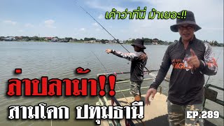 🎣🐠We are Angler EP:289 “ล่าตามหาปลาม้า ปทุมธานี 1 วัน!” |ตกปลาแม่น้ำเจ้าพระยา