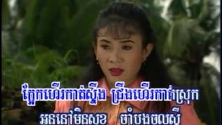 ក្អែកហើរកាត់ស្ទឹង