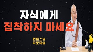 자식에게 집착을 끊으세요 | 자식 독립 시키는 방법 | 인생조언 |교훈|현실적인 조언 | 부모자식 관계 개선 | 즉문즉설 |법륜스님