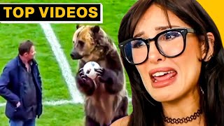 Weirdest Things That Only Exist In... | SSSniperWolf