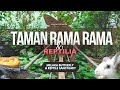 Taman Rama Rama dan Reptilia Melaka | Melaka Butterfly & Reptile Sanctuary | Travel Vlog