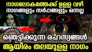 നാഗലോകത്തില്‍ പോകാനുള്ള രഹസ്യ വഴി ! നാഗങ്ങളും സര്‍പ്പങ്ങളും രണ്ടാണ് | NaagLok| ആയിരം തലയുള്ള നാഗം |