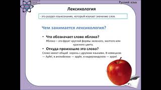 Урок об уровнях языка и разделах языкознания понятным для детей языком