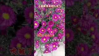 无法重来人生 #抖音歌曲 #翻唱 #刀郎新歌 #正能量 #刀郎