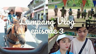 The Lampang | EP.3 เที่ยวศูนย์อนุรักษ์ช้าง นั่งรถม้า สนามบินลำปาง