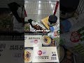 2025.01.15 수 ~코스트코세일과 신상💛 costcodaily costco 코스트코세일