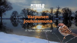 Petrus Schroderus - Varpunen jouluaamuna