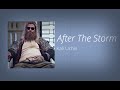 (slowed/pitched) After The Storm