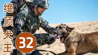 绝顶犬王 第32集 | 超级好看中国刑事剧