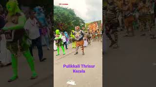 Thrissur  Pulikkali 2022