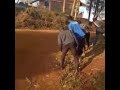 #Onlyinkenya safari Rally wheelbarrow challenge 😂😂......