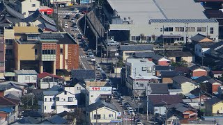 越知の町はコスモス見物で大渋滞