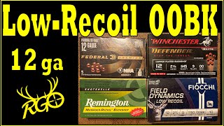 Low Recoil Buckshot - Defensive Shotgun | RGO #316